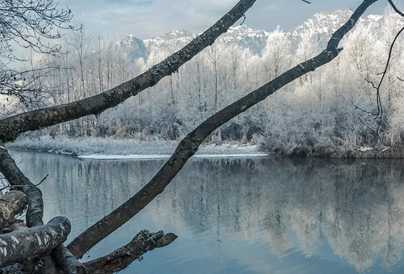 LAGO DI BUSCHE