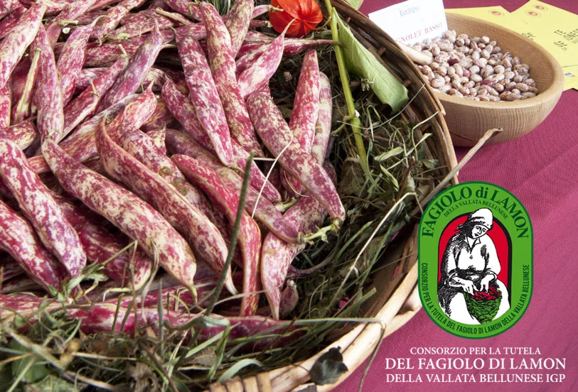 FAGIOLO DI LAMON