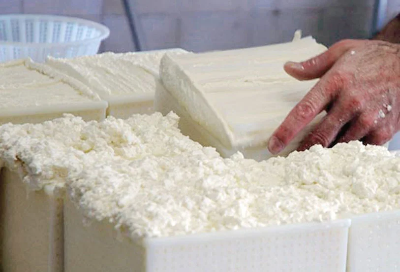 FORMAGGI DI LATTERIA E DI MALGA