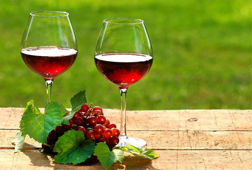 VINI DEL FELTRINO E VIGNETI DELLE DOLOMITI I.G.T.