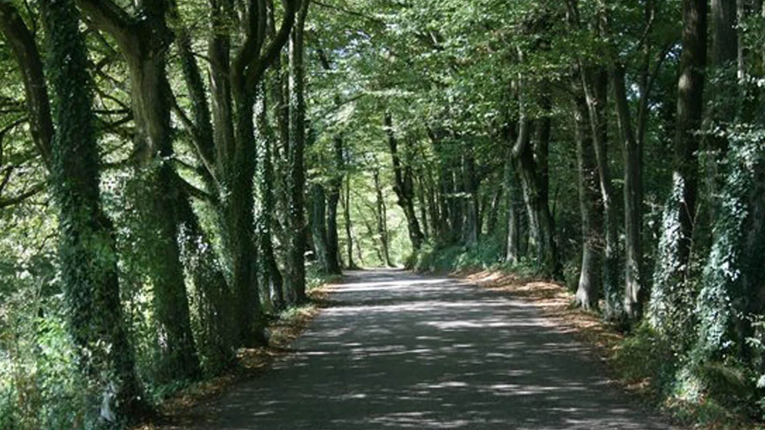 Pedalata verso Cart