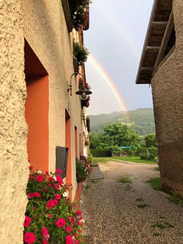 B&B VILLA SOPHIE - 2