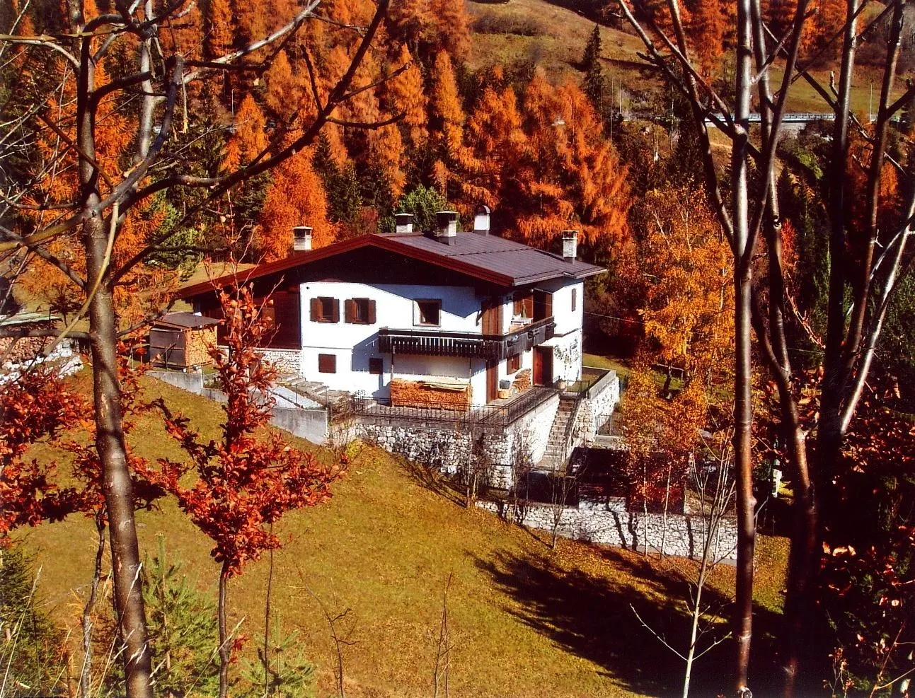 CARBOGNO MARTINA