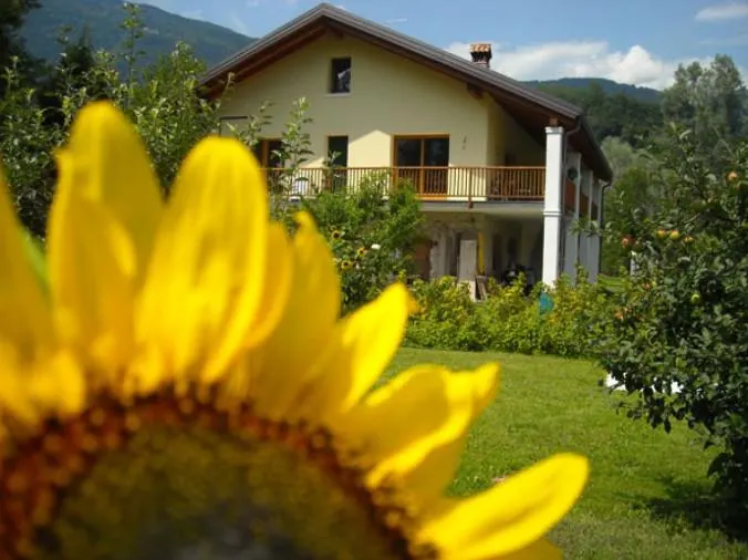 AGRITURISMO IL GIRASOLE