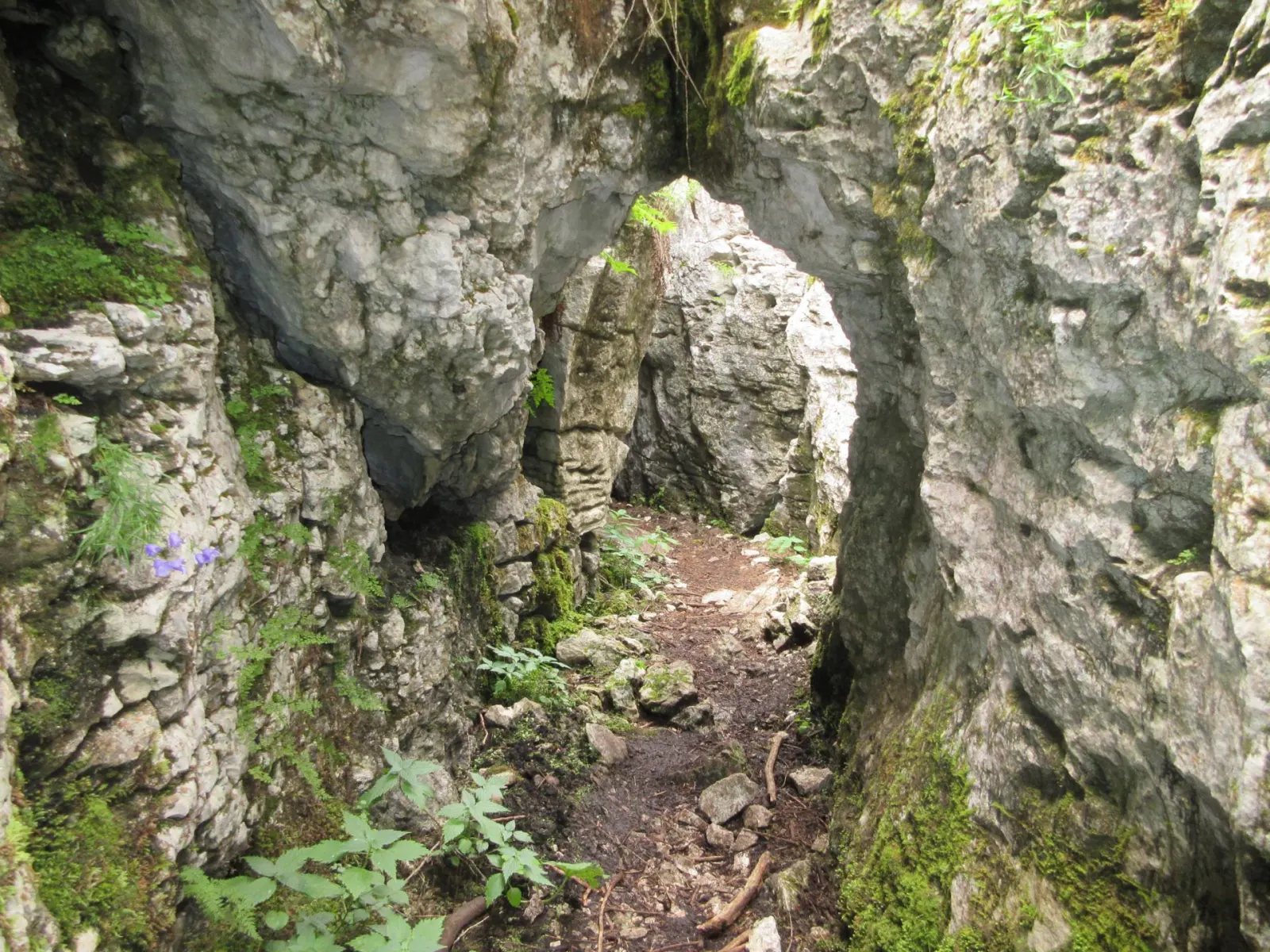 Monte Fiara - Cai Trekking Labirinto Brustolà