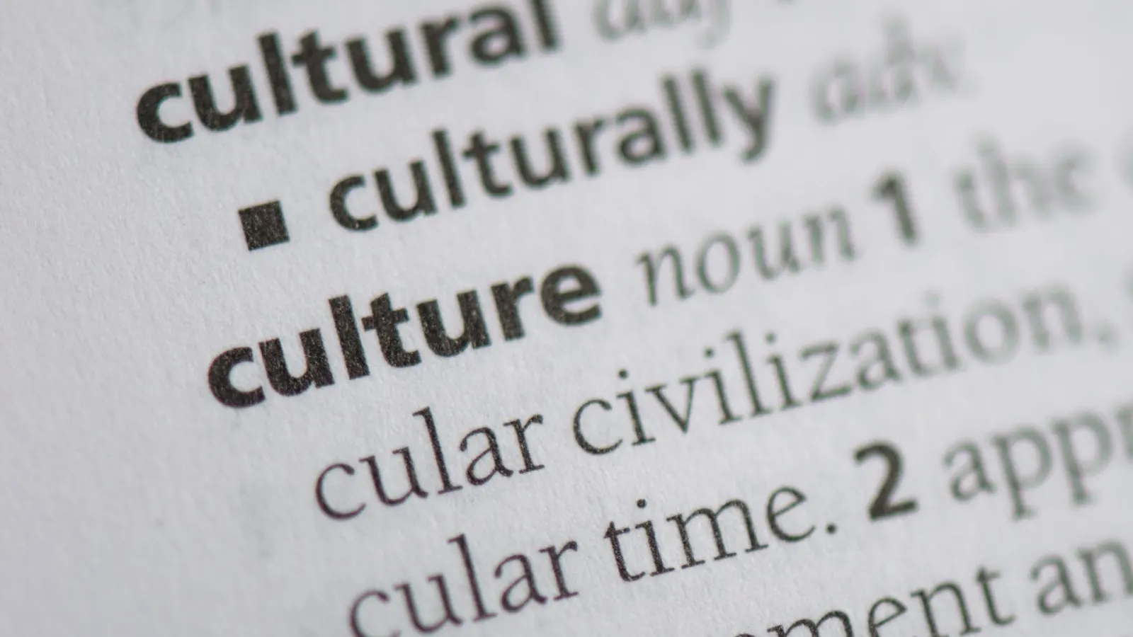 I venerdì della cultura
