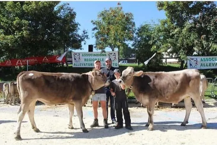 Rassegna della Razza Bruna & Pezzata Rossa Ladina ad Arabba - 2