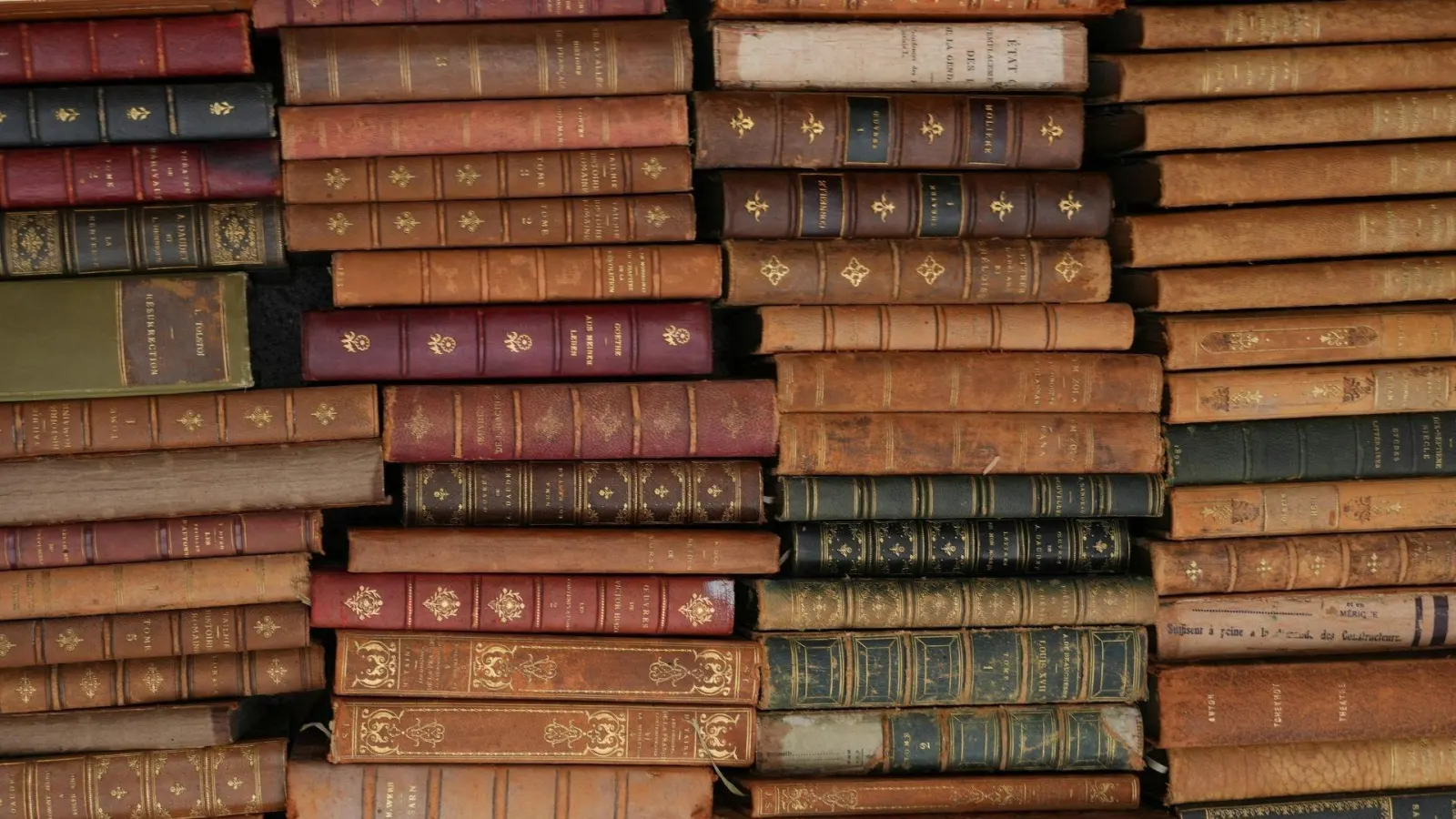 I codici miniati della Certosa di Vedana conservati all'Archivio di Stato