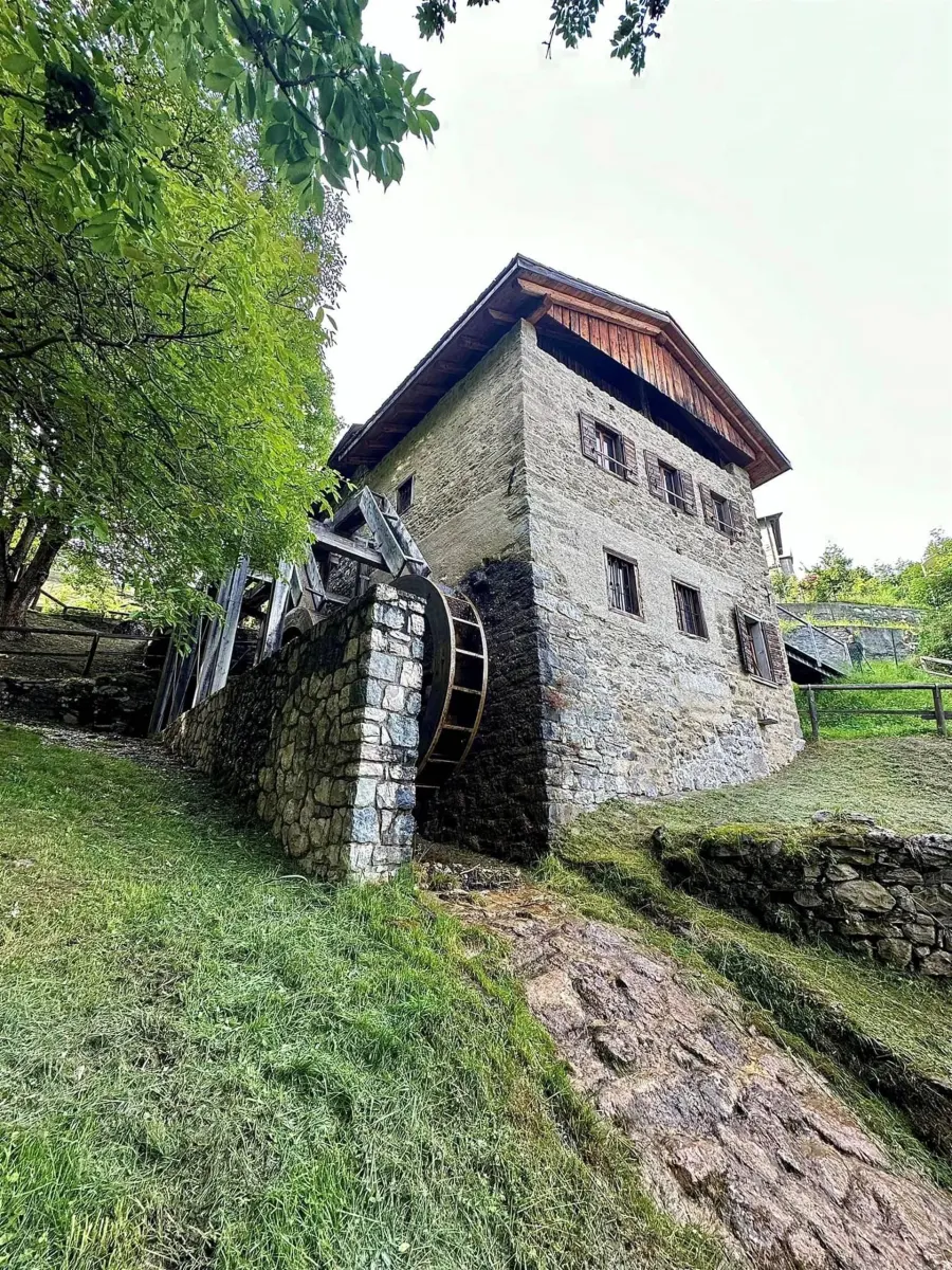 Visita guidata dalla Roggia dei Mulini alla Latteria