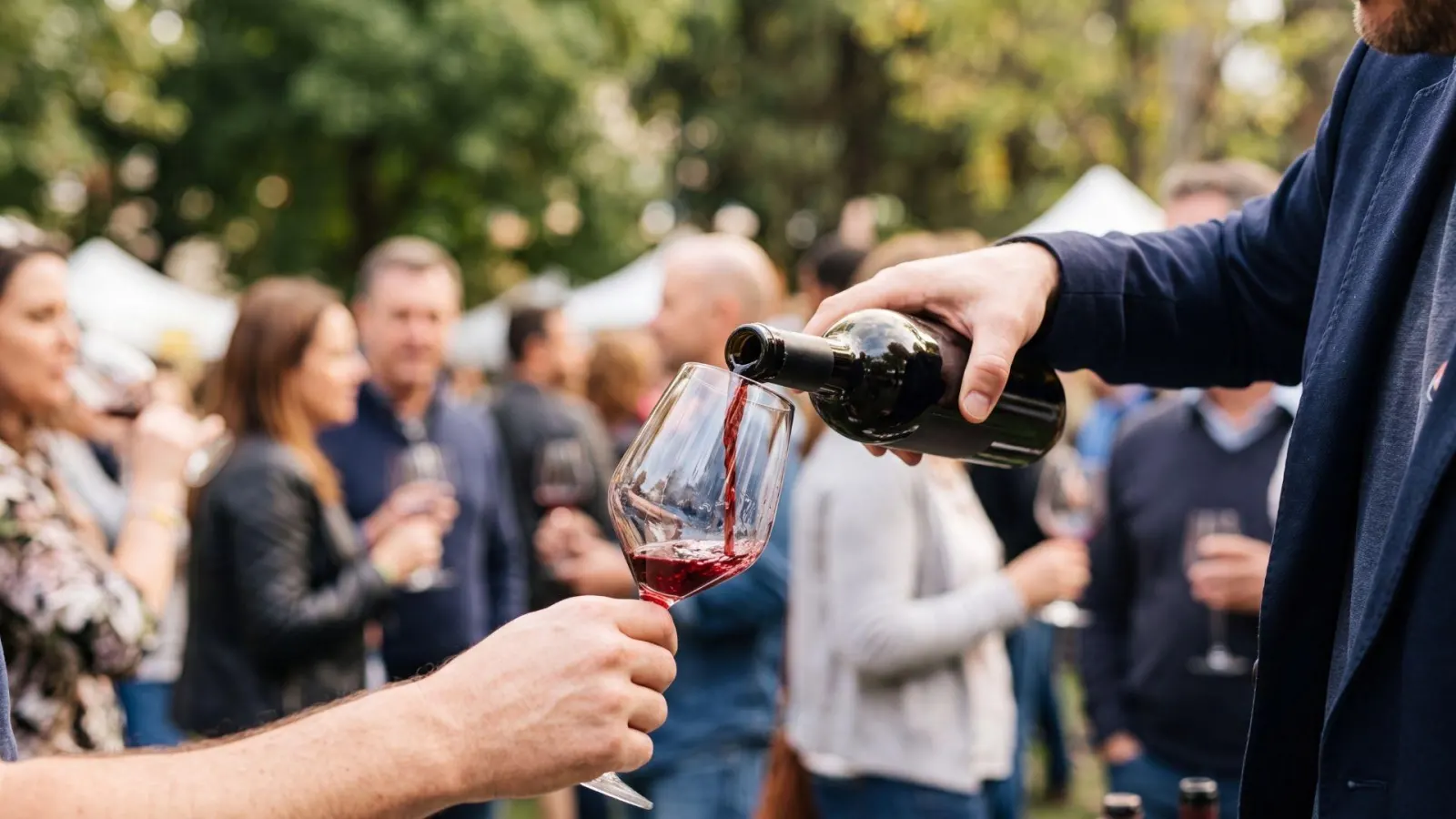 Festa dell'uva: Vini al parco