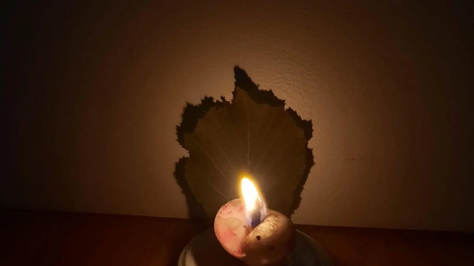Parole di luce: il segreto del Monte Palmar