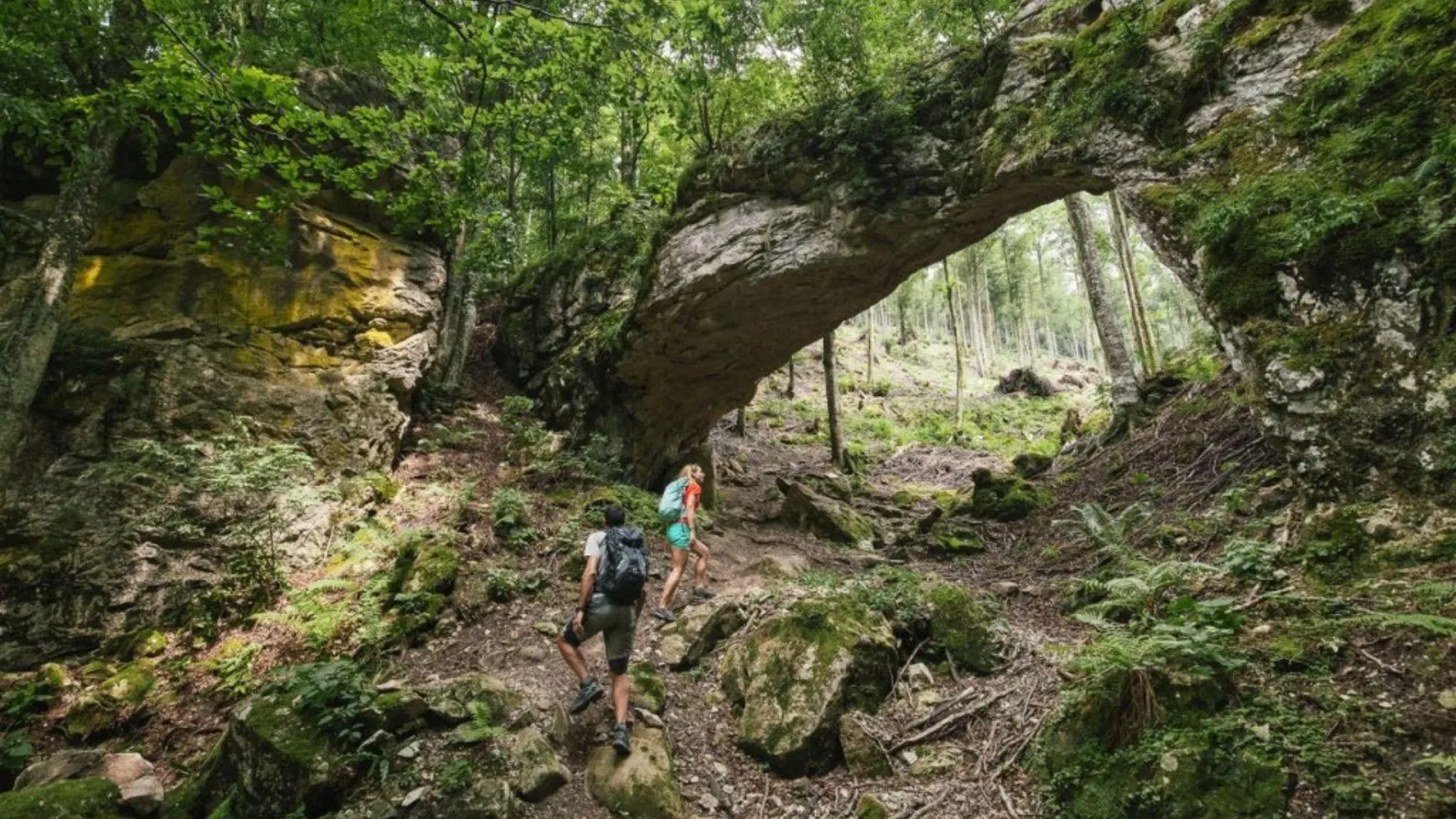 Olt de Val d’Arc - 2