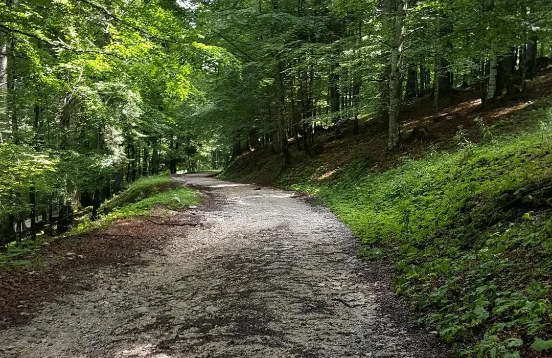 Strada del Taffarel
