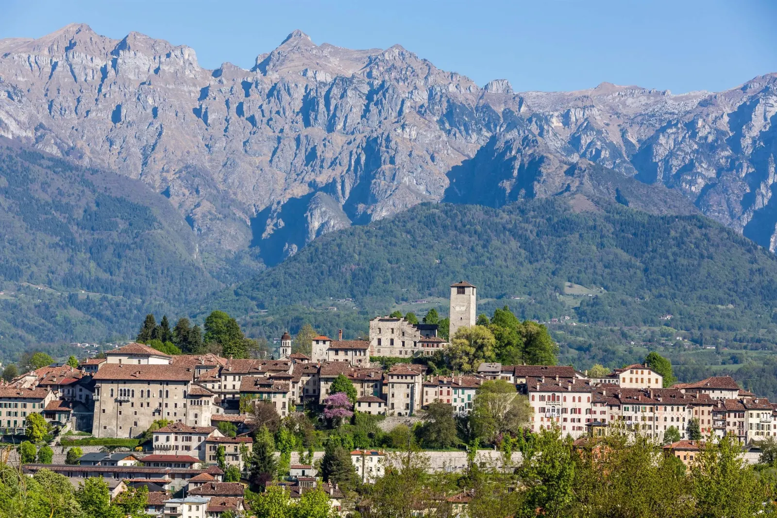 IAT Feltre Ufficio informazioni e accoglienza turistica del Feltrino - 2