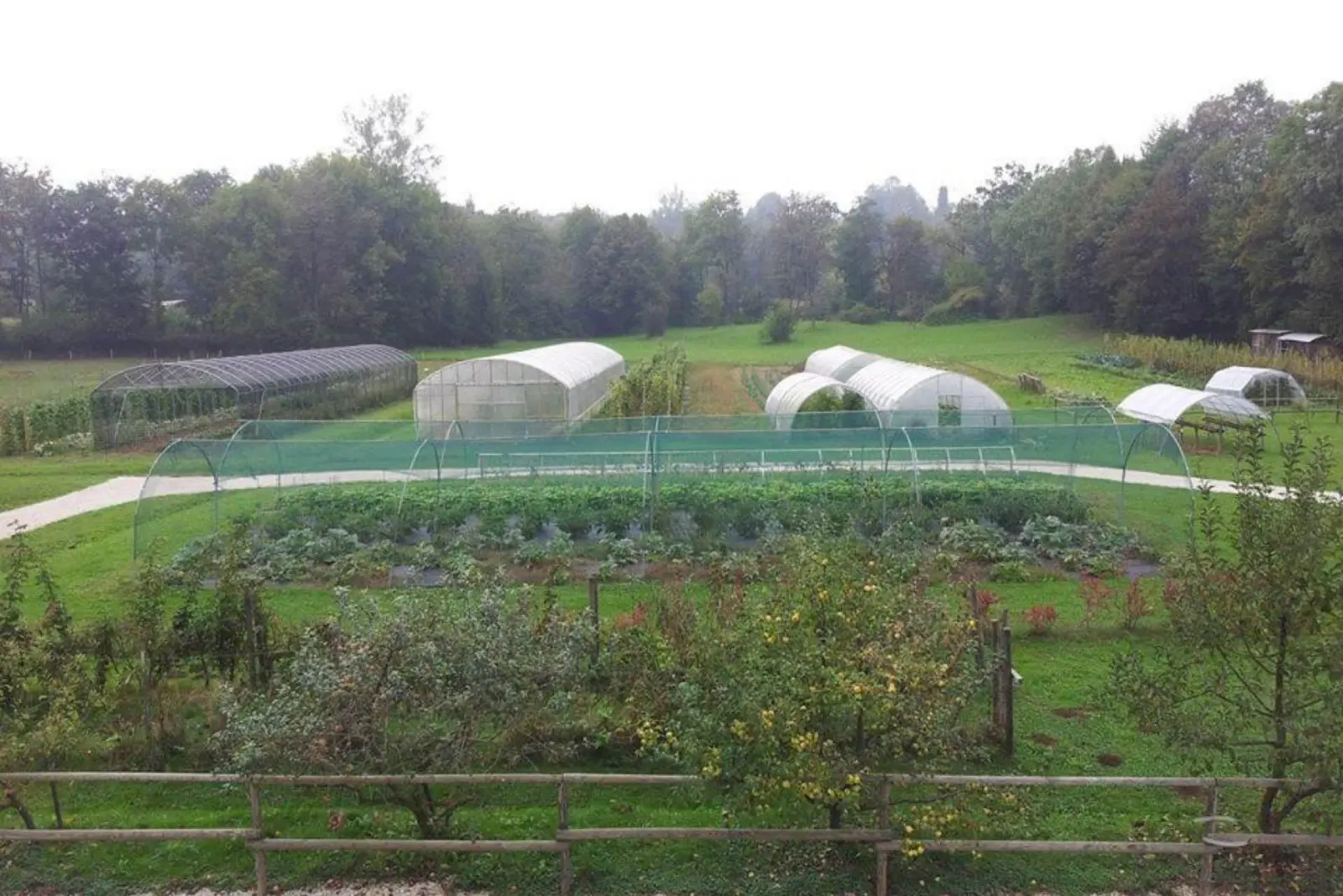 Società Agricola Marcolina