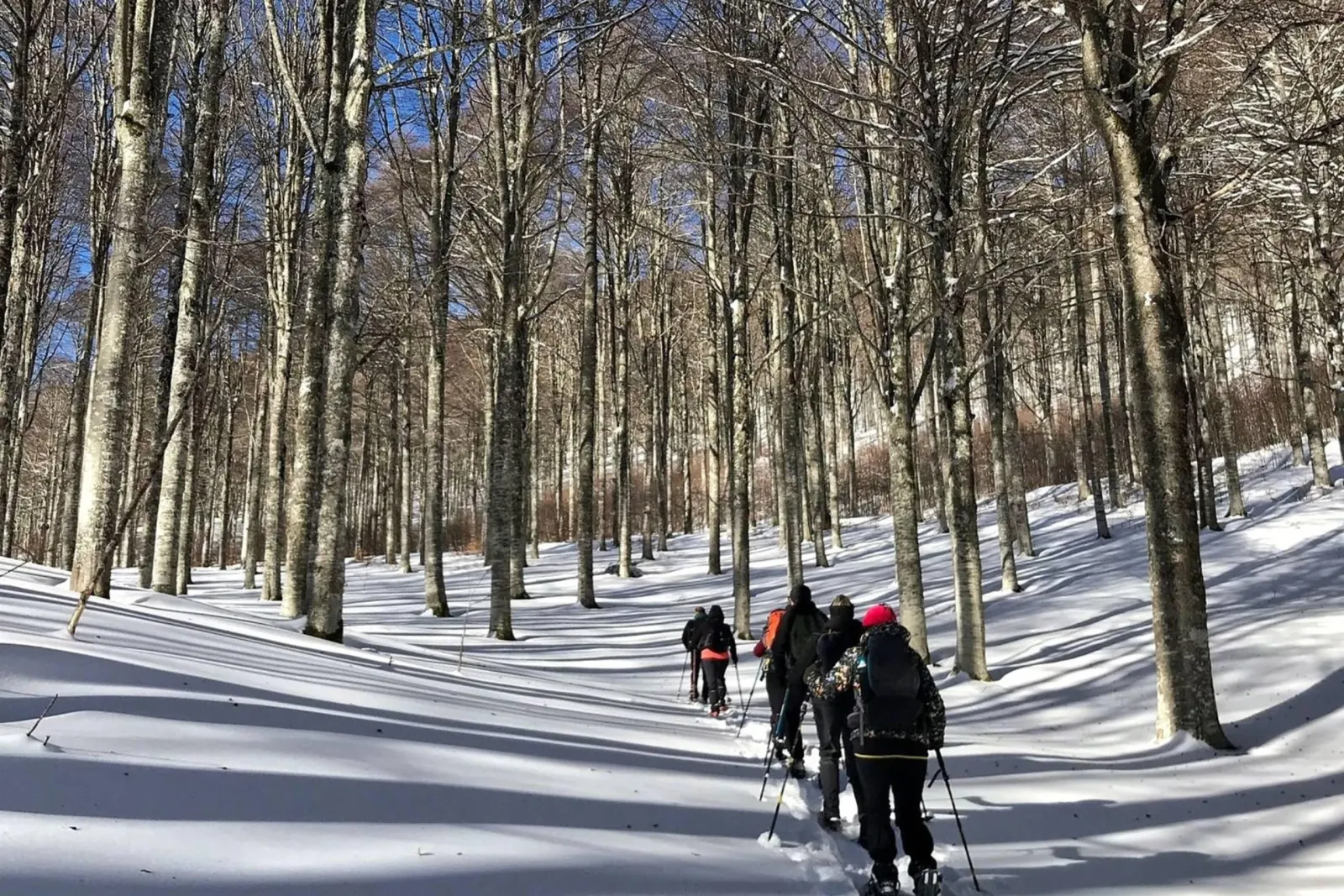 AXEL4 trek - Guide Ambientali Escursionistiche - 3