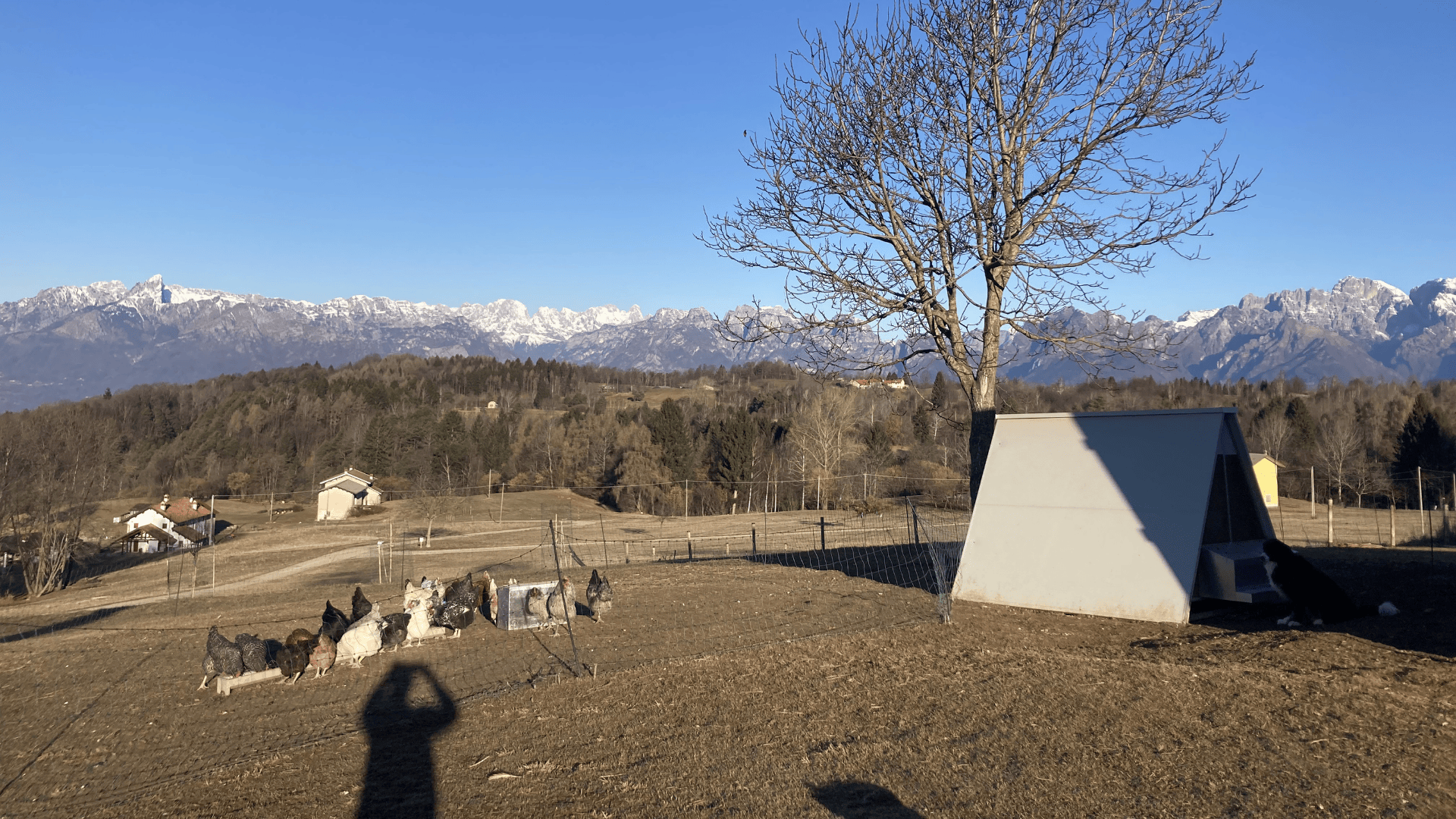 Az. Agricola “Il Cammino”