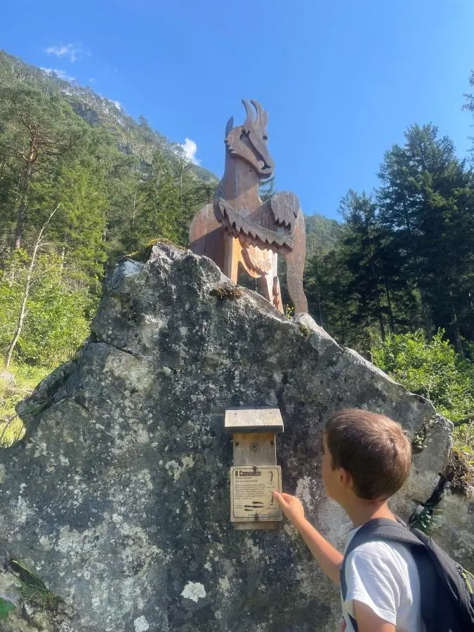 Il Sentiero dei Suoni - 3