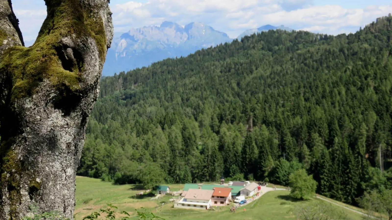 Malga Montegal - 2