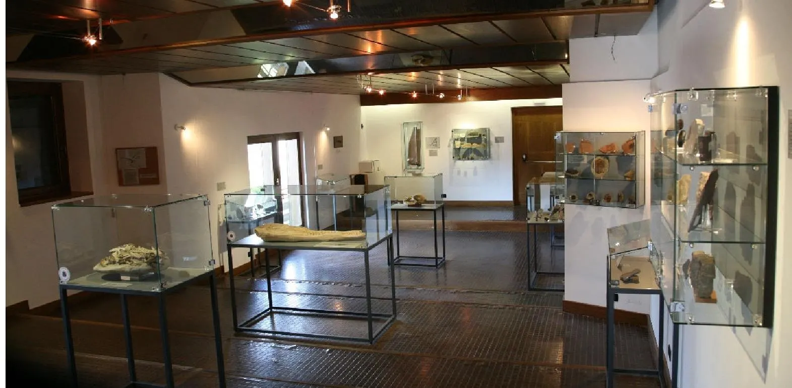 Museo paleontologico - 2