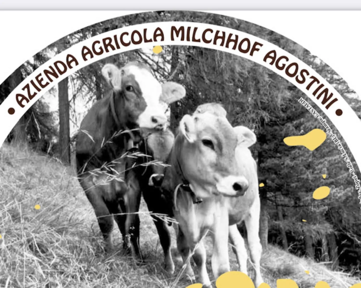 Azienda Agricola Milchhof Agostini