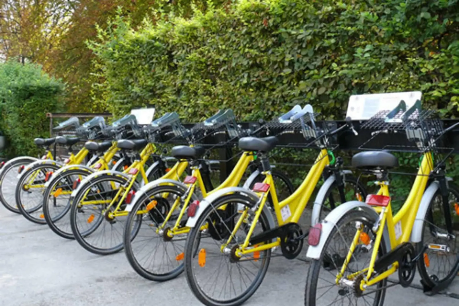 Bike Sharing Feltre