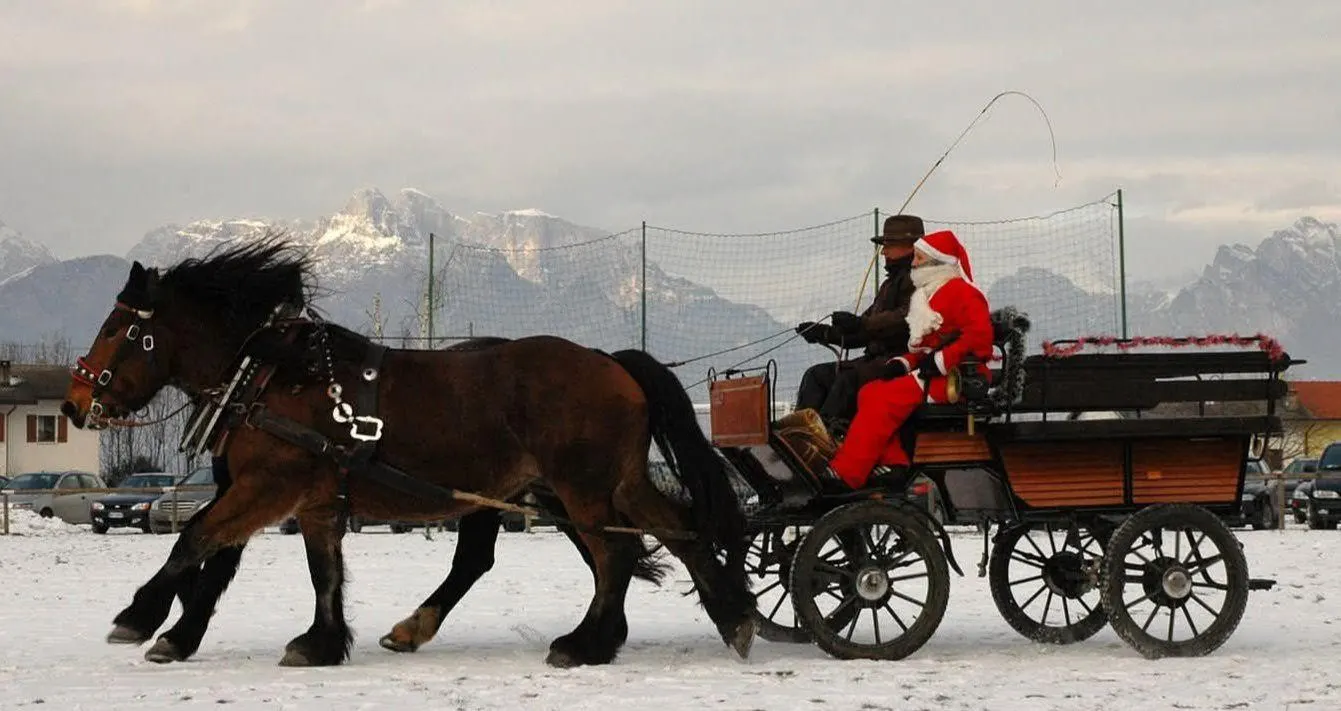 Azienda Agricola De Zanca - Centro Equestre - 3