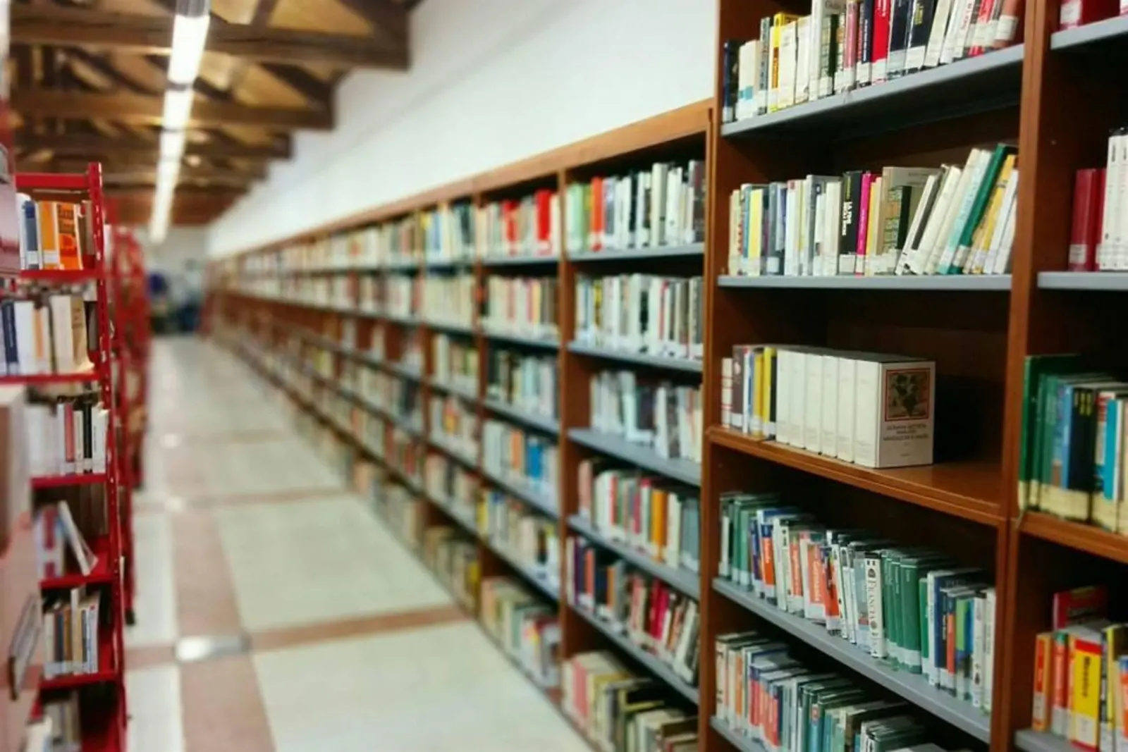 Biblioteca - Polo bibliotecario feltrino